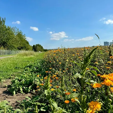 Apartman Business - Parkplatz - Wlan - Naehe Klinikum Zentral