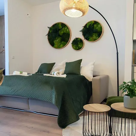 Appartement Business - Parkplatz - Wlan - Naehe Klinikum Zentral Erfurt