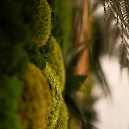 Business - Parkplatz - Wlan - Naehe Klinikum Zentral * Erfurt