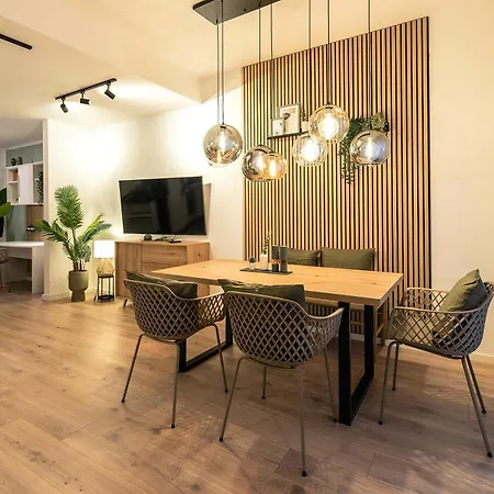 Business - Parkplatz - Wlan - Naehe Klinikum Zentral Appartement *