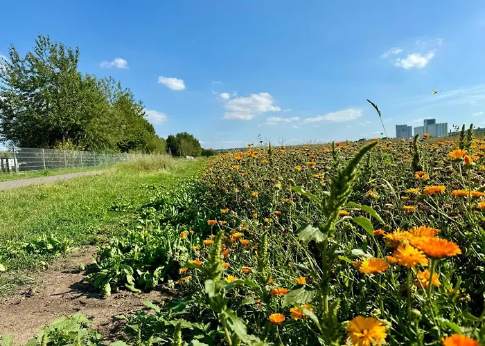 Apartament Business - Parkplatz - Wlan - Naehe Klinikum Zentral
