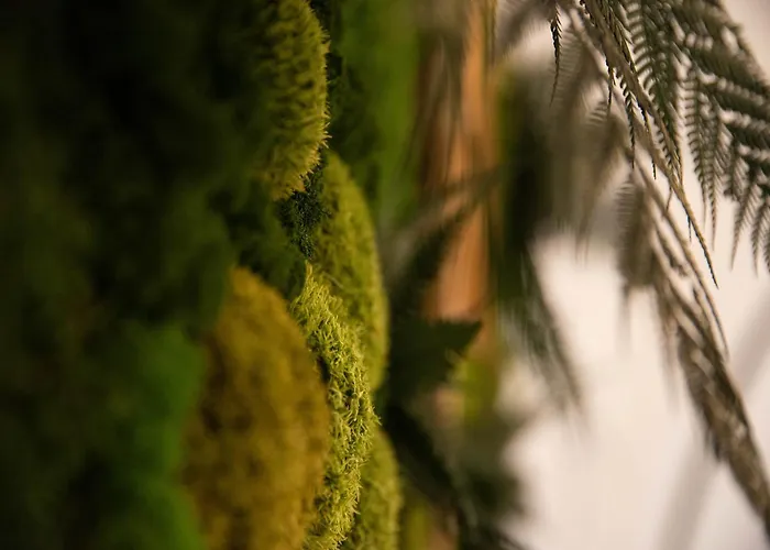 Business - Parkplatz - Wlan - Naehe Klinikum Zentral * Erfurt